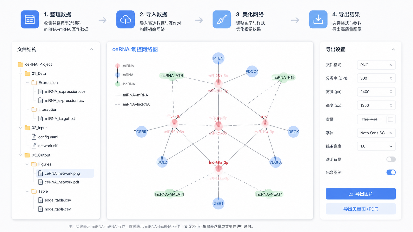 论文成图风格的ceRNA网络完成图，旁边配有导出设置窗口与文件结构示意，突出“整理数据-导入-美化-导出”的流程感。