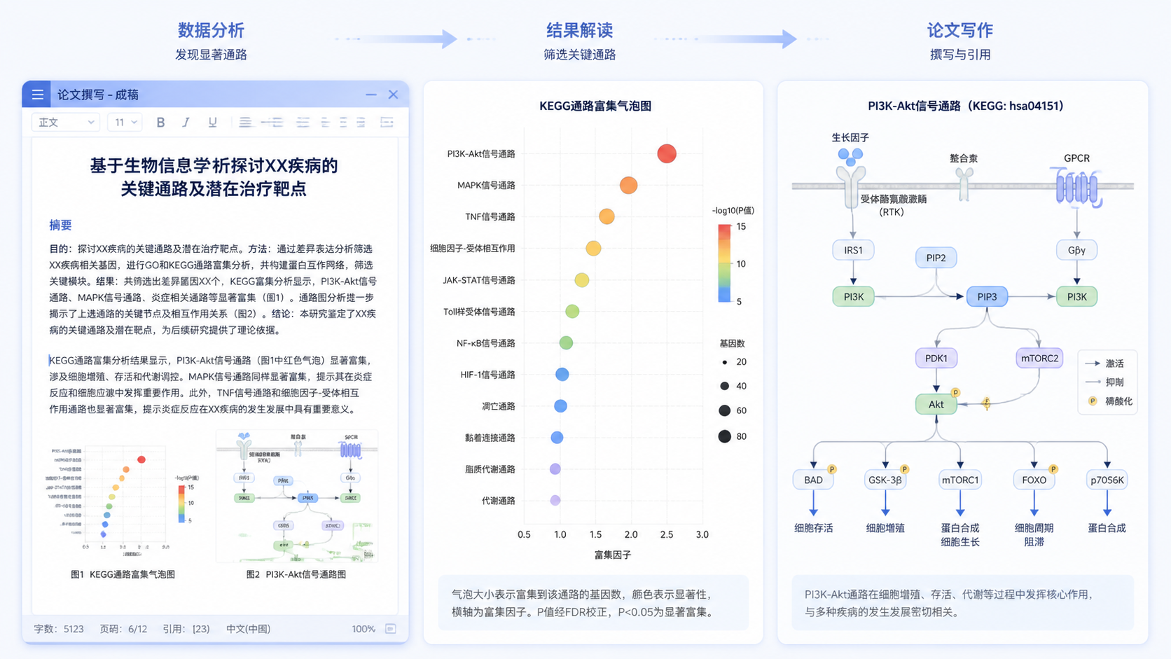 论文成稿页面与通路富集气泡图、KEGG通路图并排展示，体现从分析到写作的完整流程