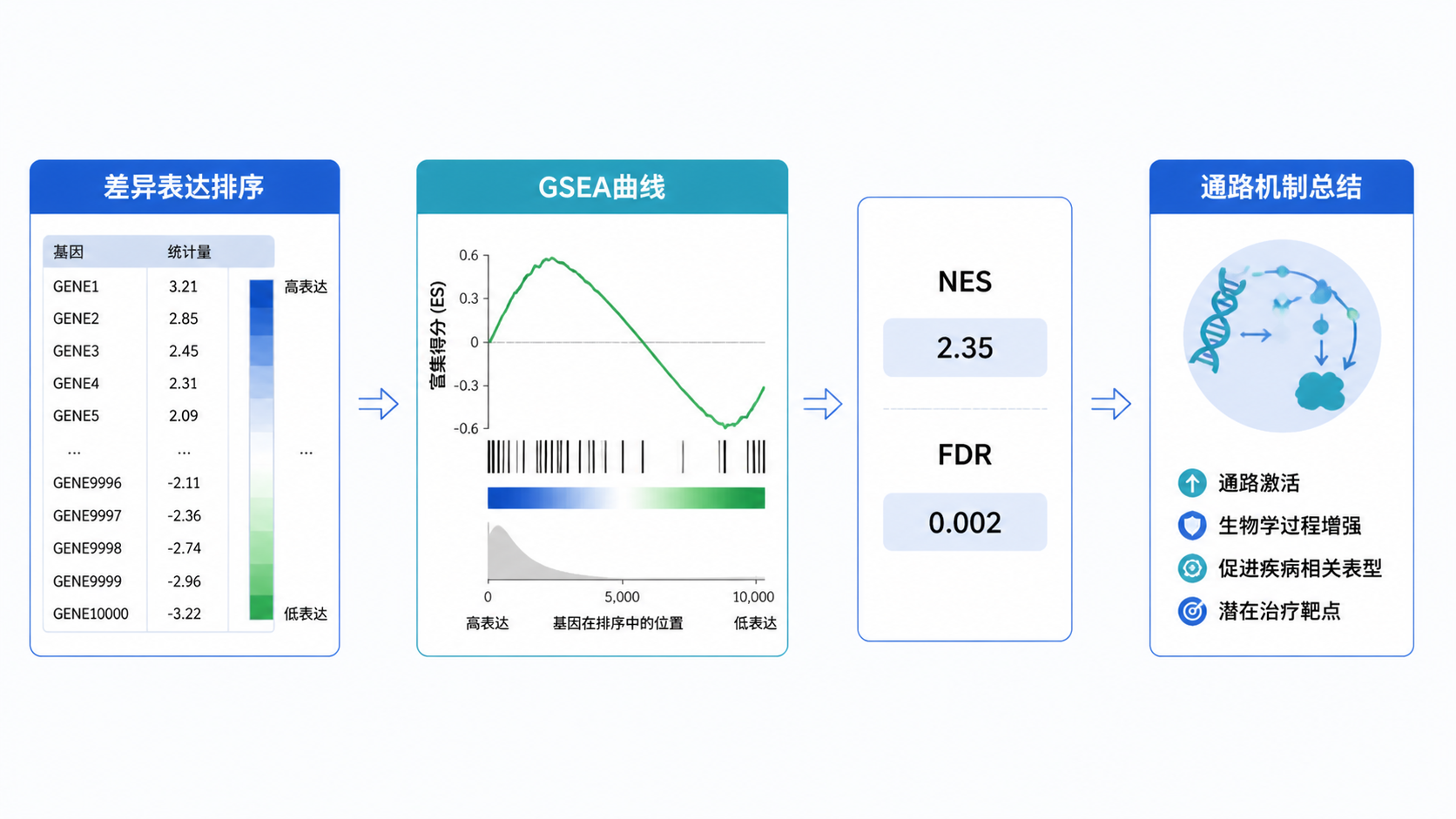 一张整洁的分析流程图，从差异表达排序到GSEA曲线、NES/FDR结果，再到通路机制总结，呈现完整科研分析链路。