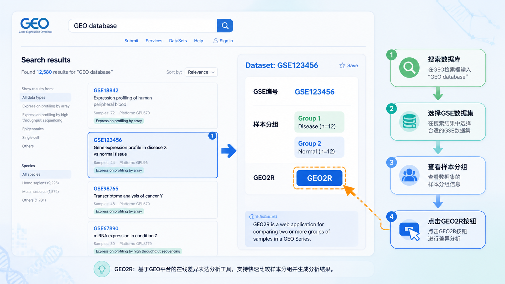 GEO数据库检索页面与数据集筛选流程示意图，突出GSE编号、样本分组和GEO2R按钮位置