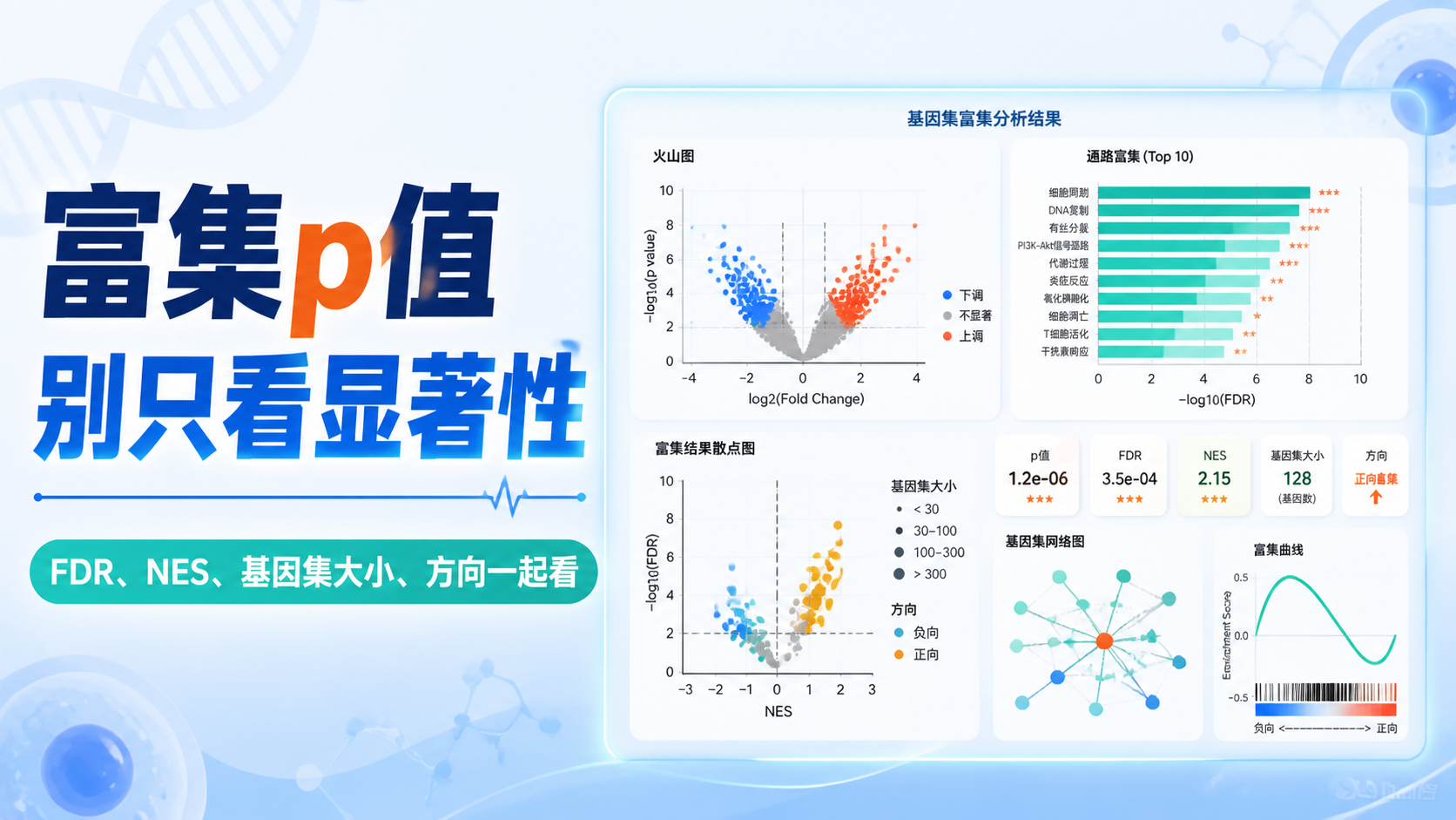 富集p值怎么解读？5个关键点
