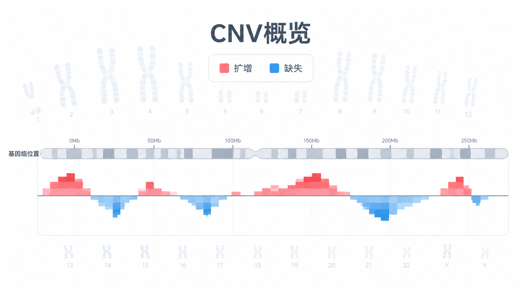 一张基因组拷贝数变异概览图，包含红色扩增和蓝色缺失信号，背景为染色体分布示意，适合用于引出“如何解读拷贝数变异数据”的主题。