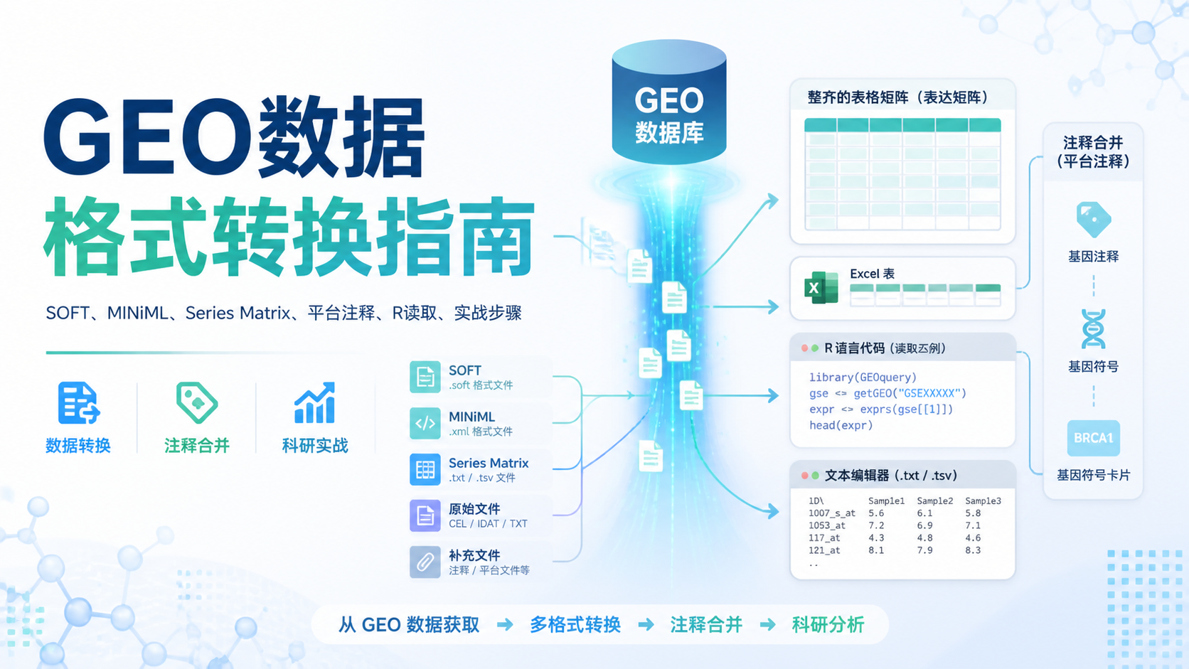 必须掌握的GEO数据格式转换技巧