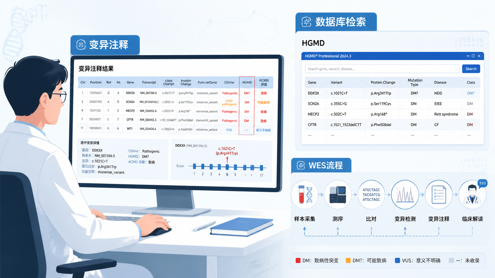 一位科研人员在电脑前查看基因变异注释结果，旁边展示HGMD数据库界面与WES分析流程示意图