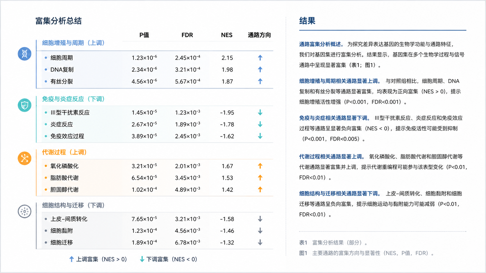 一张整洁的富集分析总结图,包含P值、FDR、NES和通路箭头方向,右侧展示论文结果段落排版示意