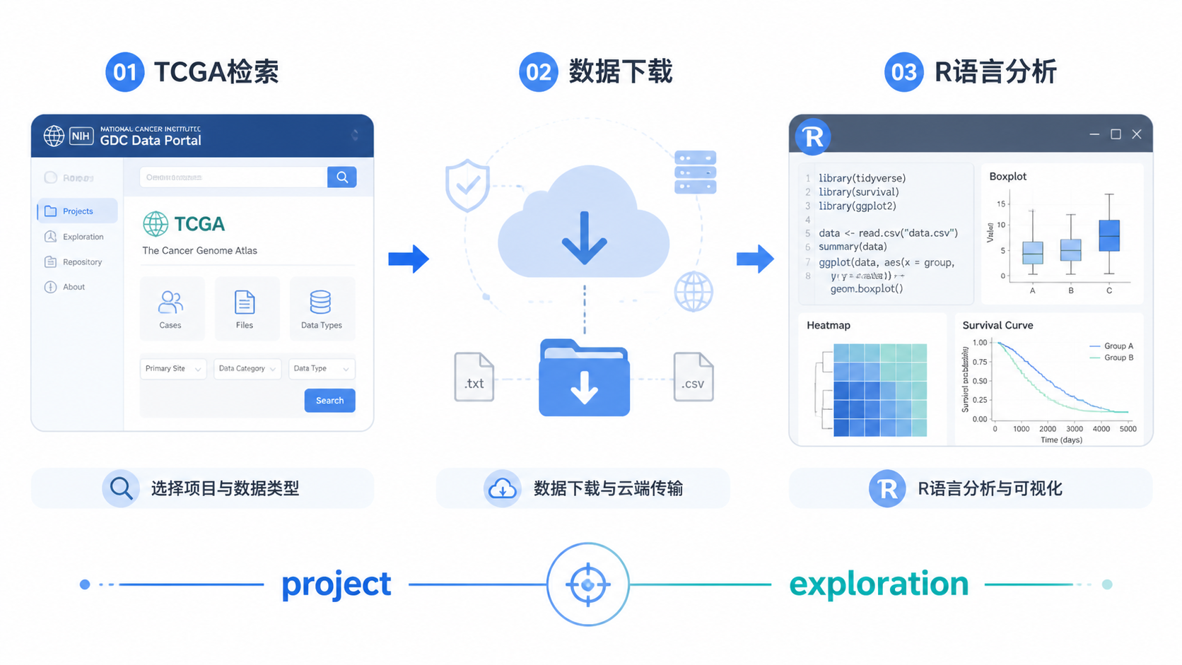 一张从TCGA检索到下载再到R语言分析的流程图，底部突出“project → exploration → repository → analysis”。