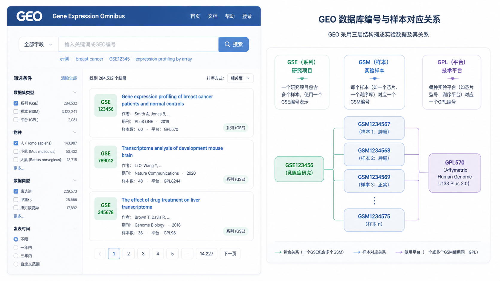 GEO数据库界面截图，旁边标出GSE、GSM、GPL三类编号及样本对应关系示意图