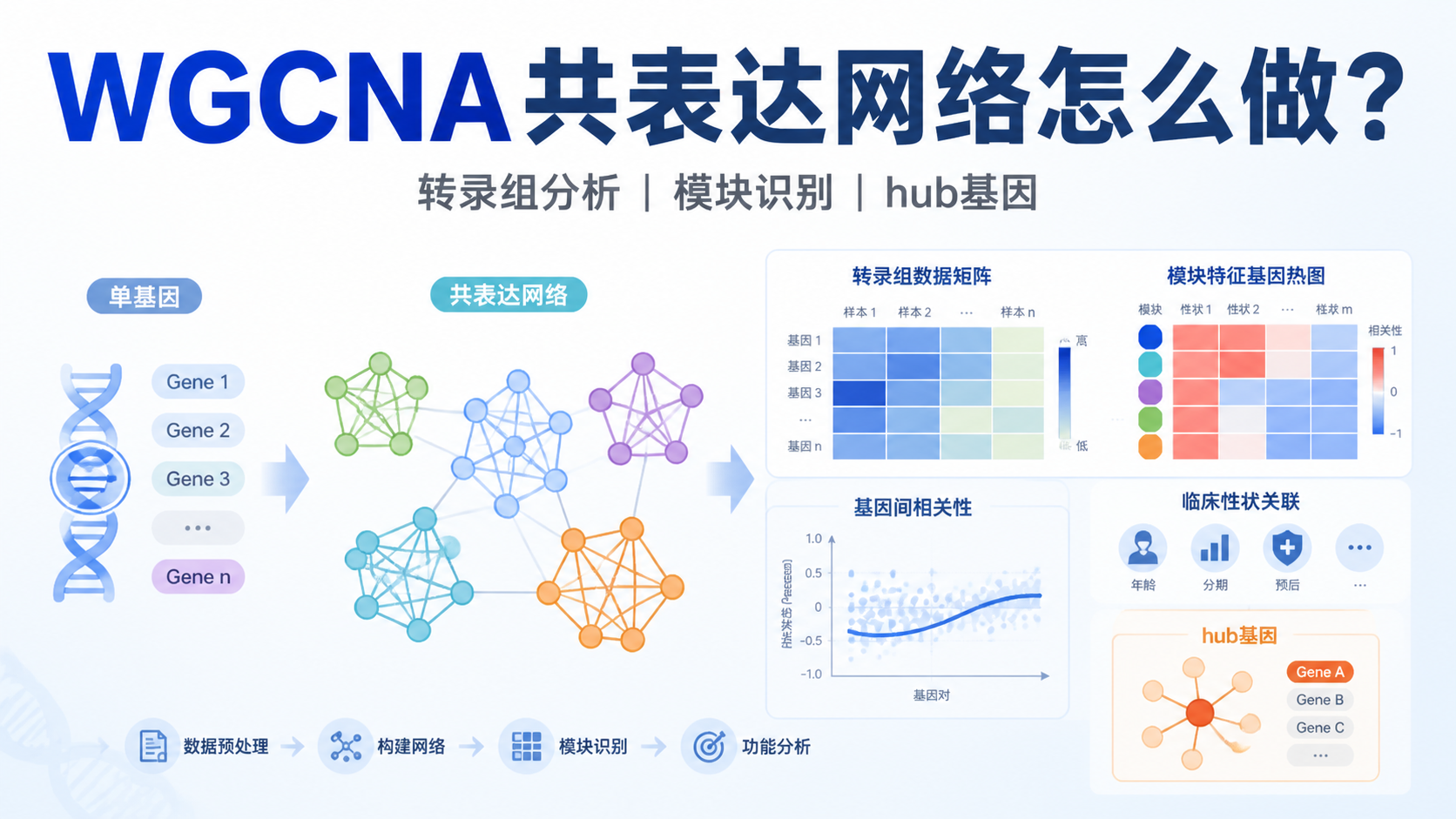 加权基因共表达网络在转录组中怎么用？