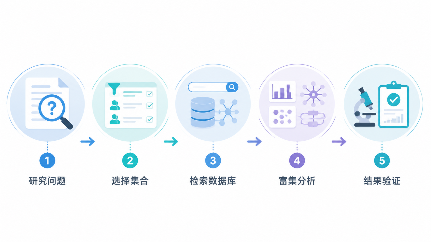 一张流程图，展示“研究问题-选择集合-检索数据库-富集分析-结果验证”的完整路径。