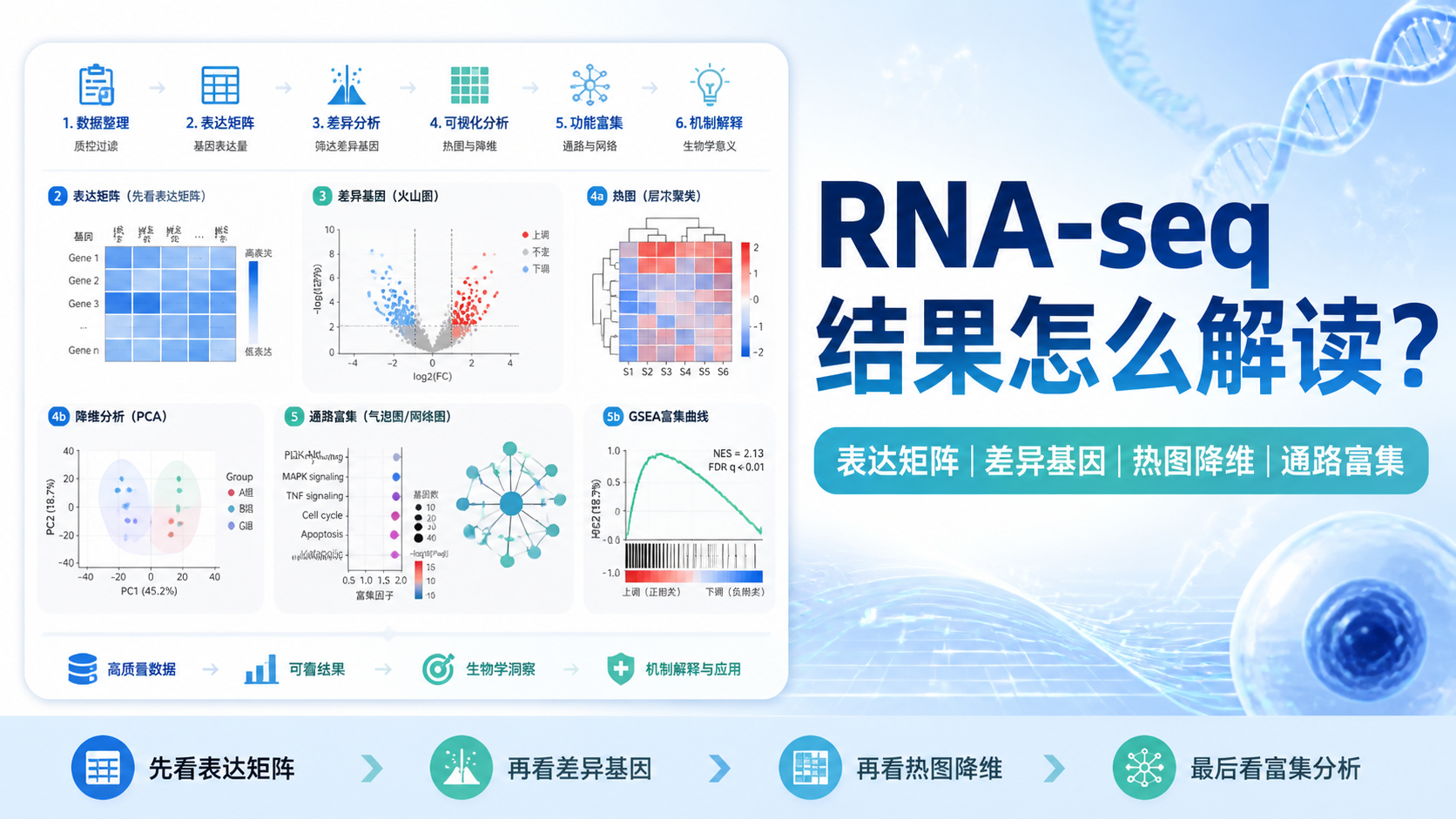 RNA-seq数据解读：4类结果怎么看？