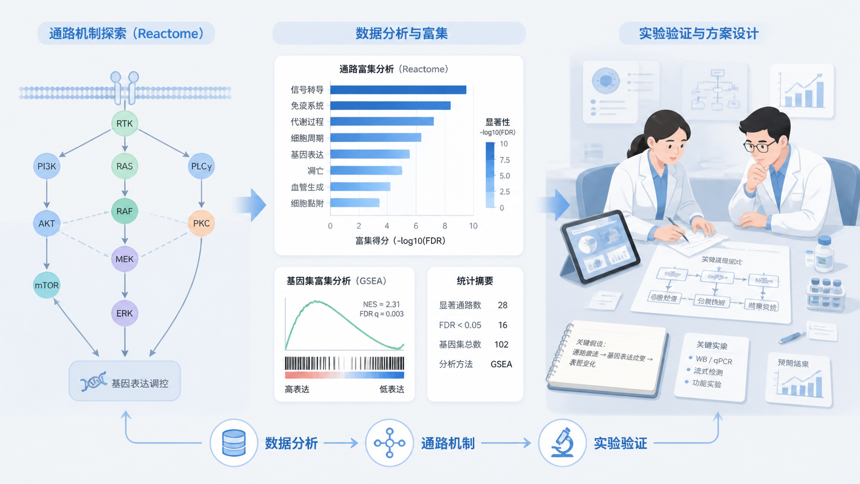 Reactome通路网络图、富集柱状图与科研人员整理实验方案的桌面场景，突出从数据到机制的研究闭环