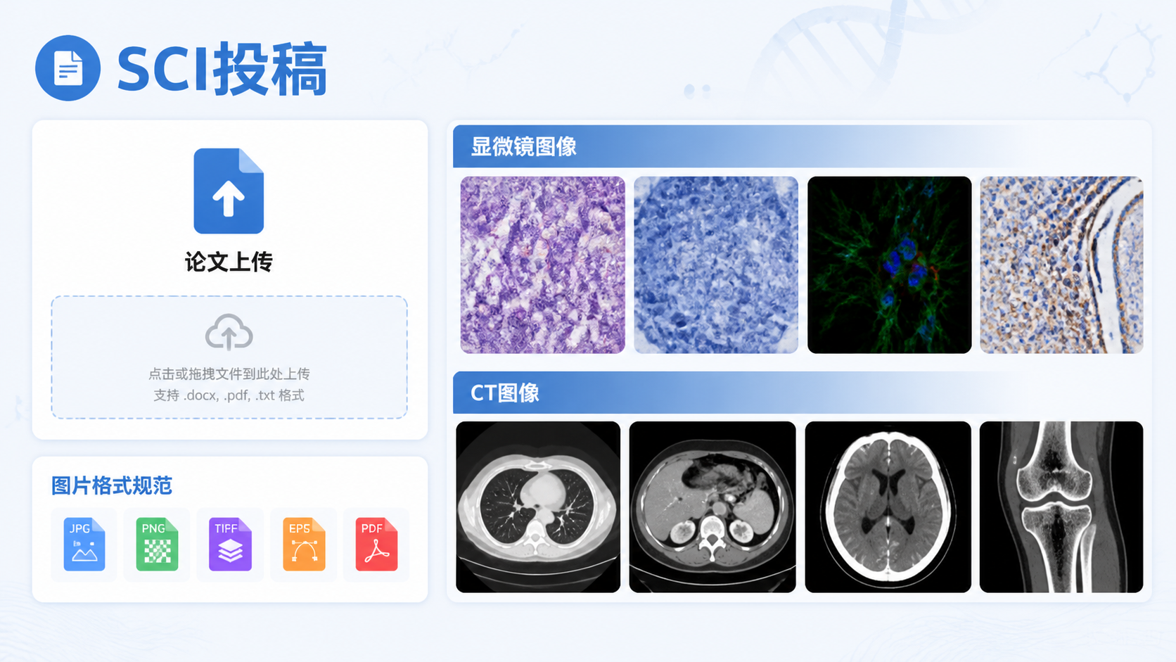 科研论文投稿界面与显微镜、CT图像拼接的学术风格配图，突出“图片格式规范”和“SCI投稿”主题