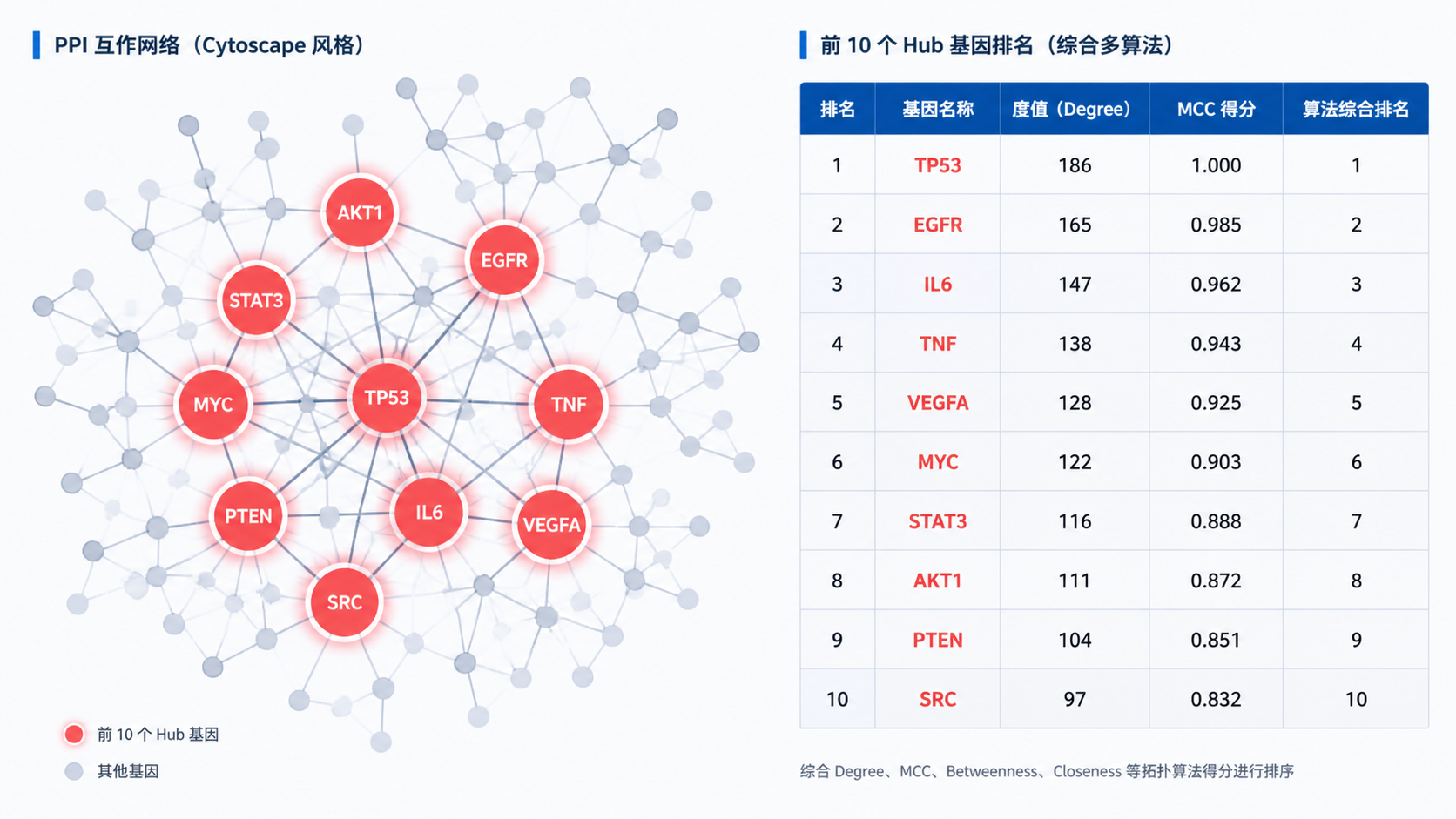 Cytoscape中高亮显示前10个Hub基因的PPI网络结果图，旁边配有算法排名表或模块分析结果面板