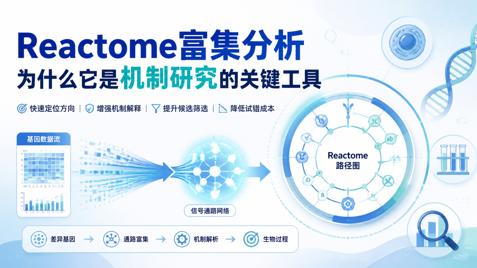 为什么做Reactome富集分析？5个关键价值