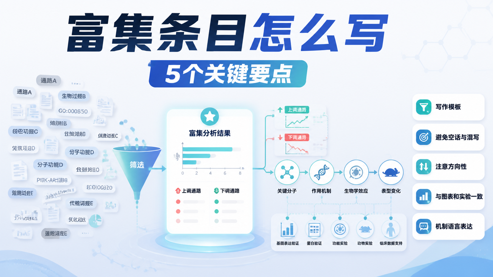 为什么富集条目总写不好？6个要点说明