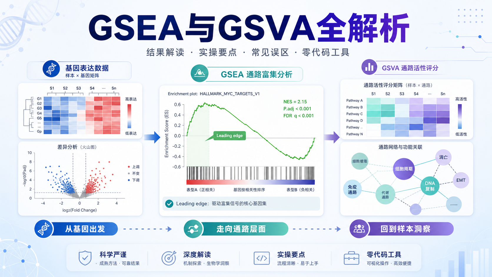 GSEA与GSVA实操指南：从Leading Edge到零代码工具