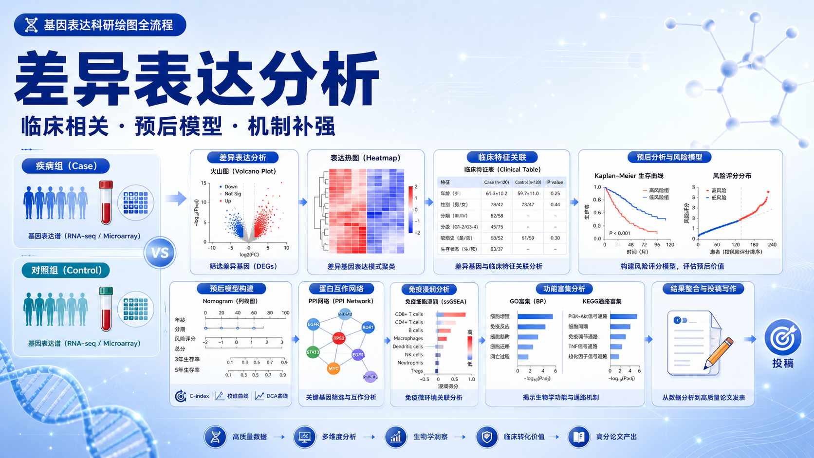 基因表达差异剖析：临床特征与预后模型构建精要