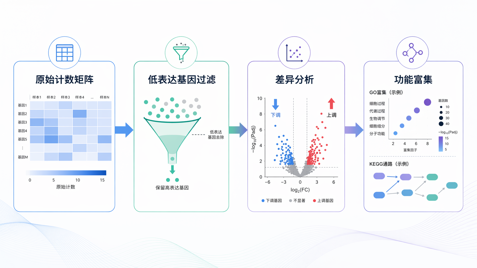 RNA-seq分析流程示意图，突出“原始计数矩阵→低表达基因过滤→差异分析→功能富集”的步骤链条，风格简洁专业。