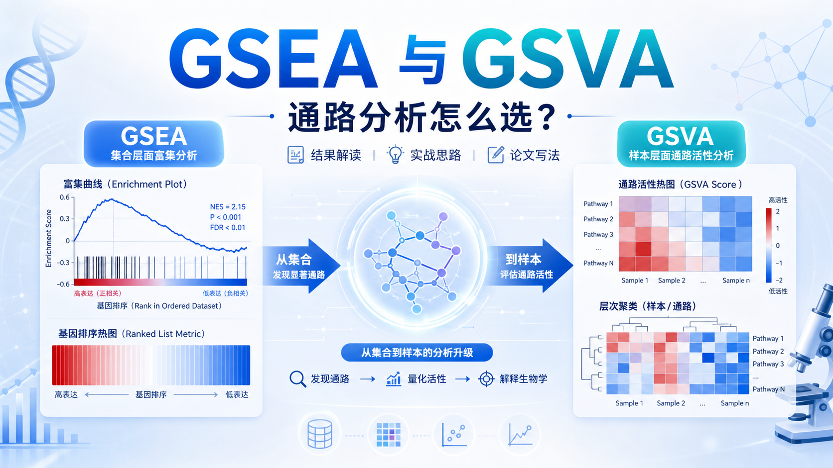 从GSEA到GSVA：嵌套聚类分析提升通路研究深度