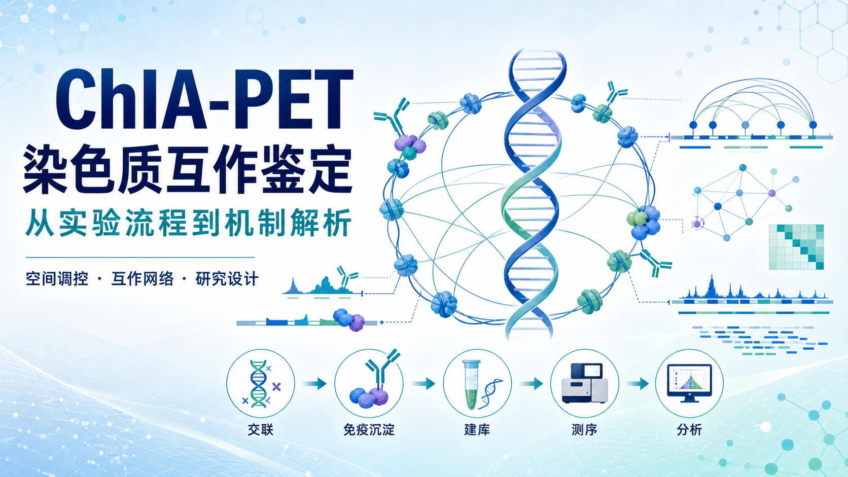 ChIA-PET深度解读：揭示基因调控的远程对话