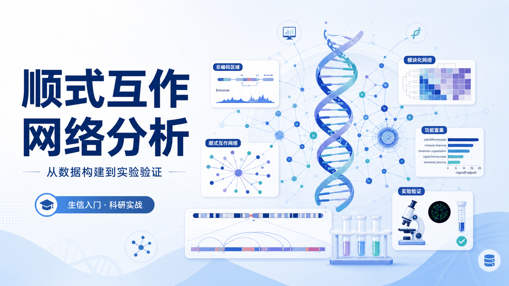 顺式互作网络分析：解锁非编码区域的功能线索