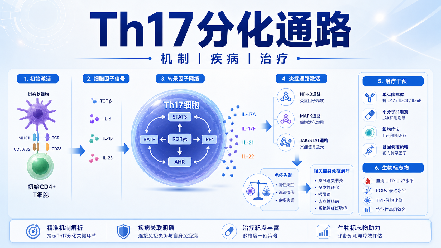Th17分化通路：自身免疫疾病治疗新思路