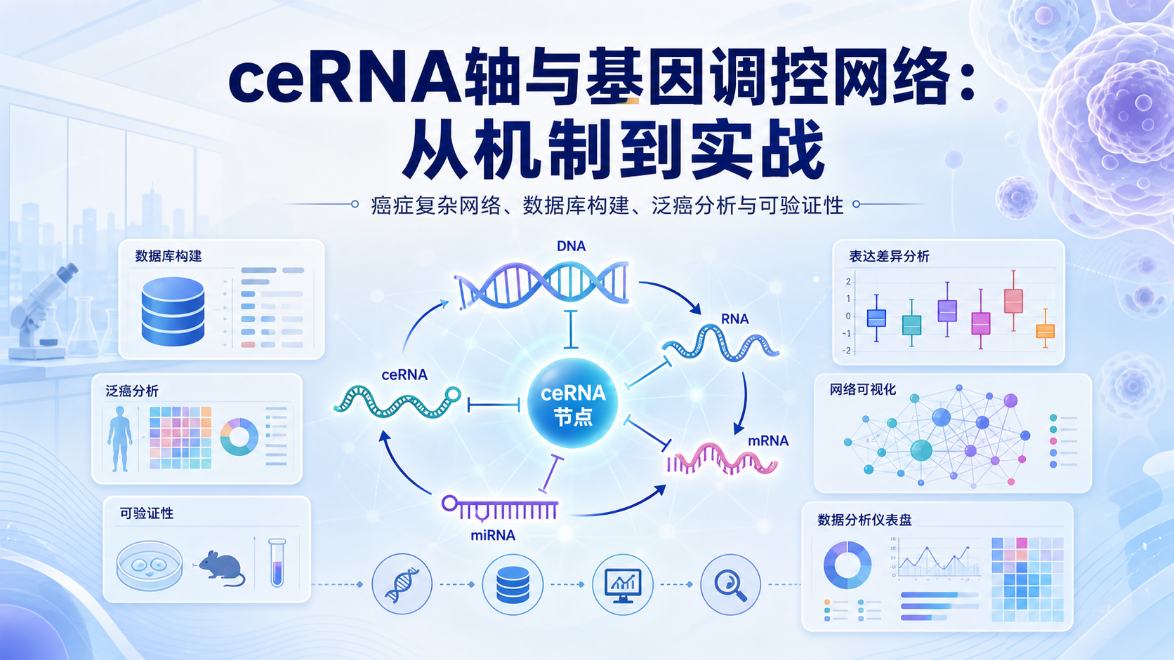 基因调控环路与ceRNA轴机制：破译癌症复杂网络