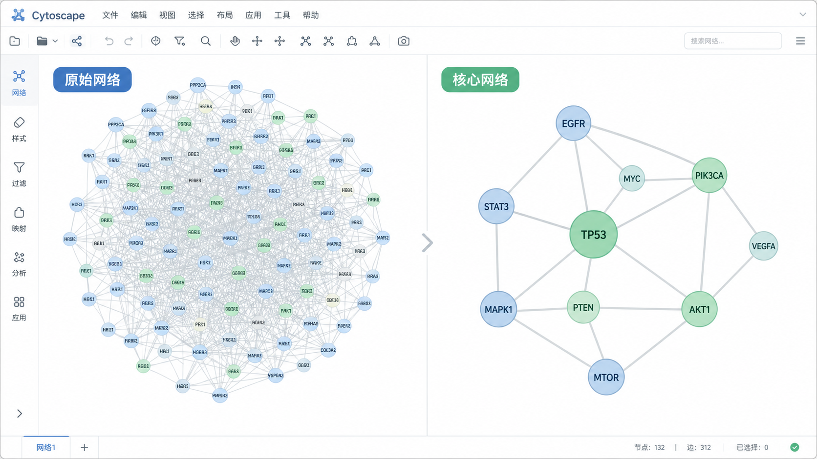 Cytoscape界面中的复杂PPI网络图，左侧为原始密集网络，右侧为筛选后的简洁核心网络，对比展示优化前后差异