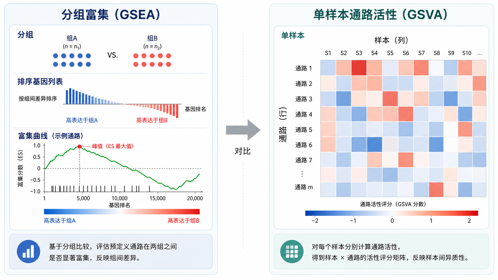 GSEA与GSVA对比示意图，左侧为分组富集曲线图，右侧为样本-通路热图，突出“分组”和“单样本评分”差异。