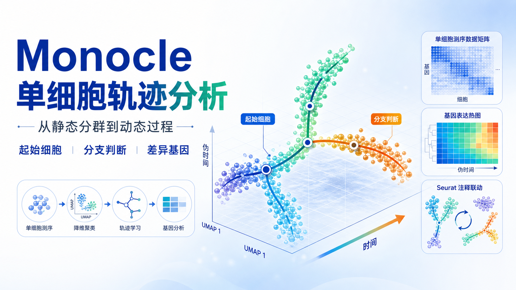 精准解析Monocle算法：单细胞轨迹分析的权威指南