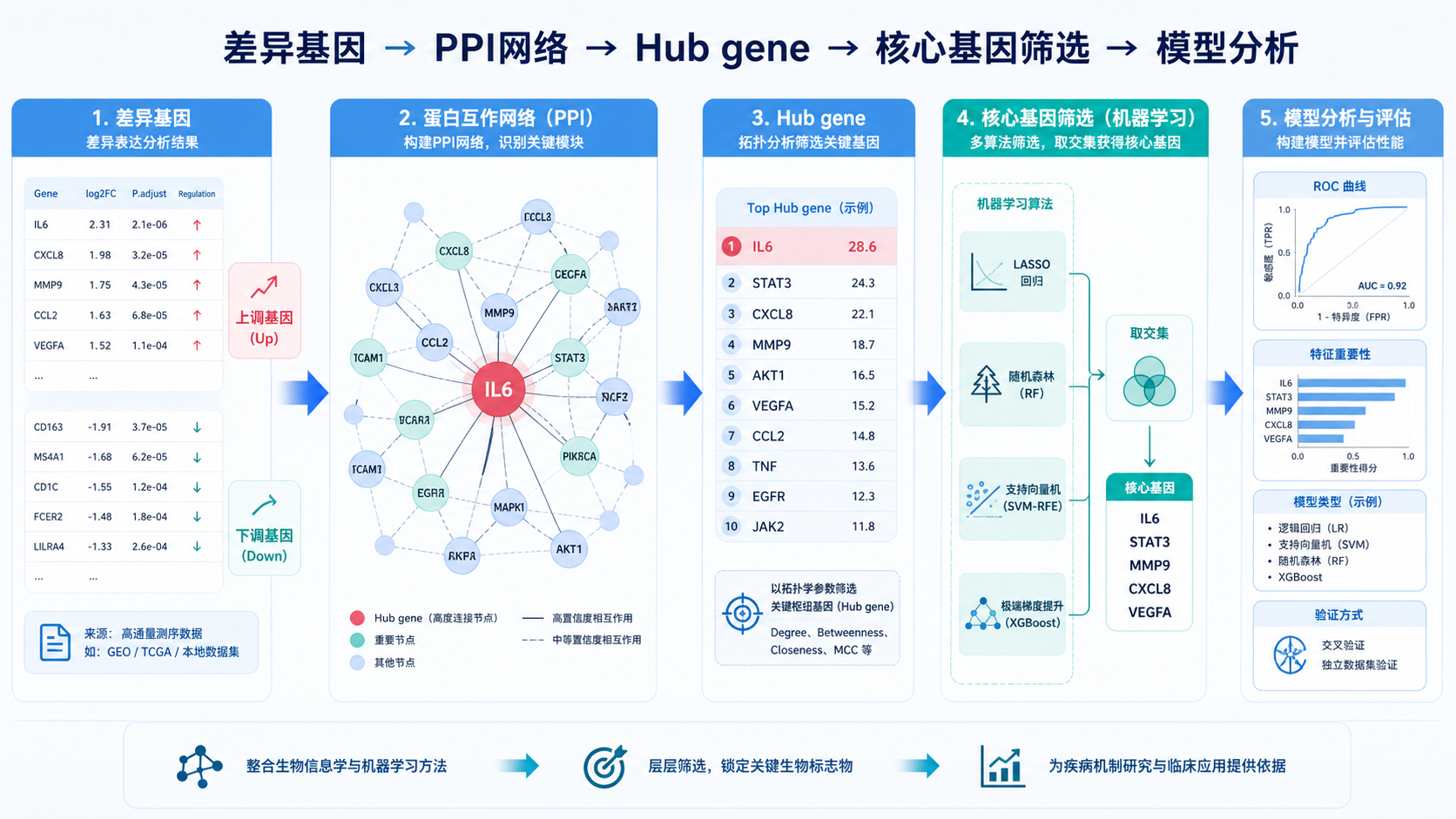 PPI网络与机器学习流程示意图，左侧为差异基因，右侧为核心基因筛选，中心突出Hub gene与模型验证环节