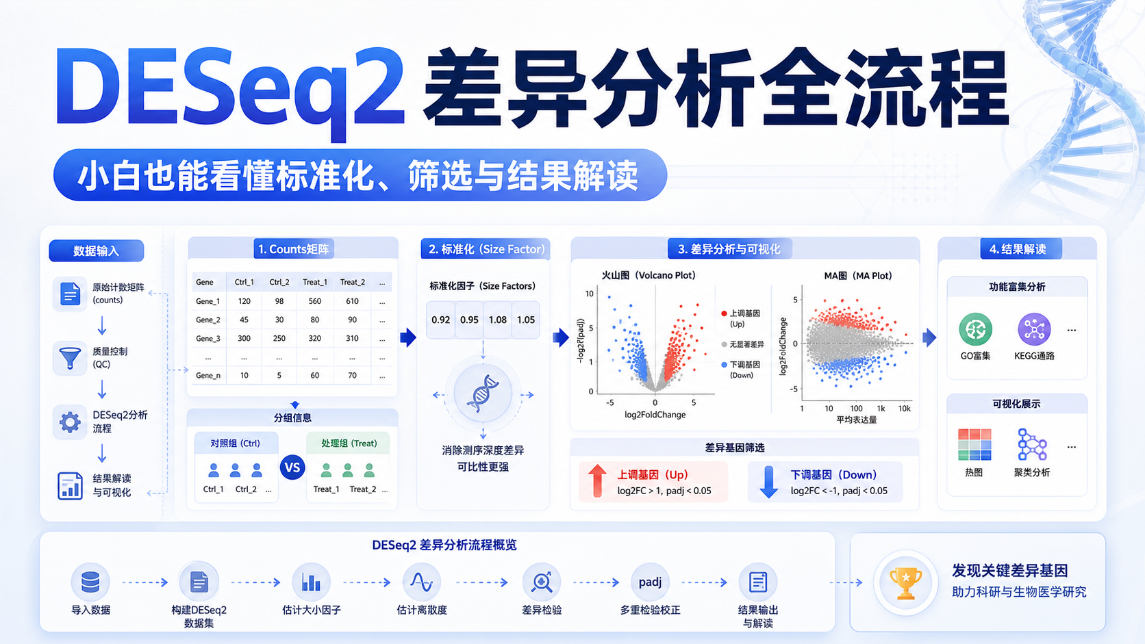 DESeq2差异分析：零基础搞定转录组核心流程