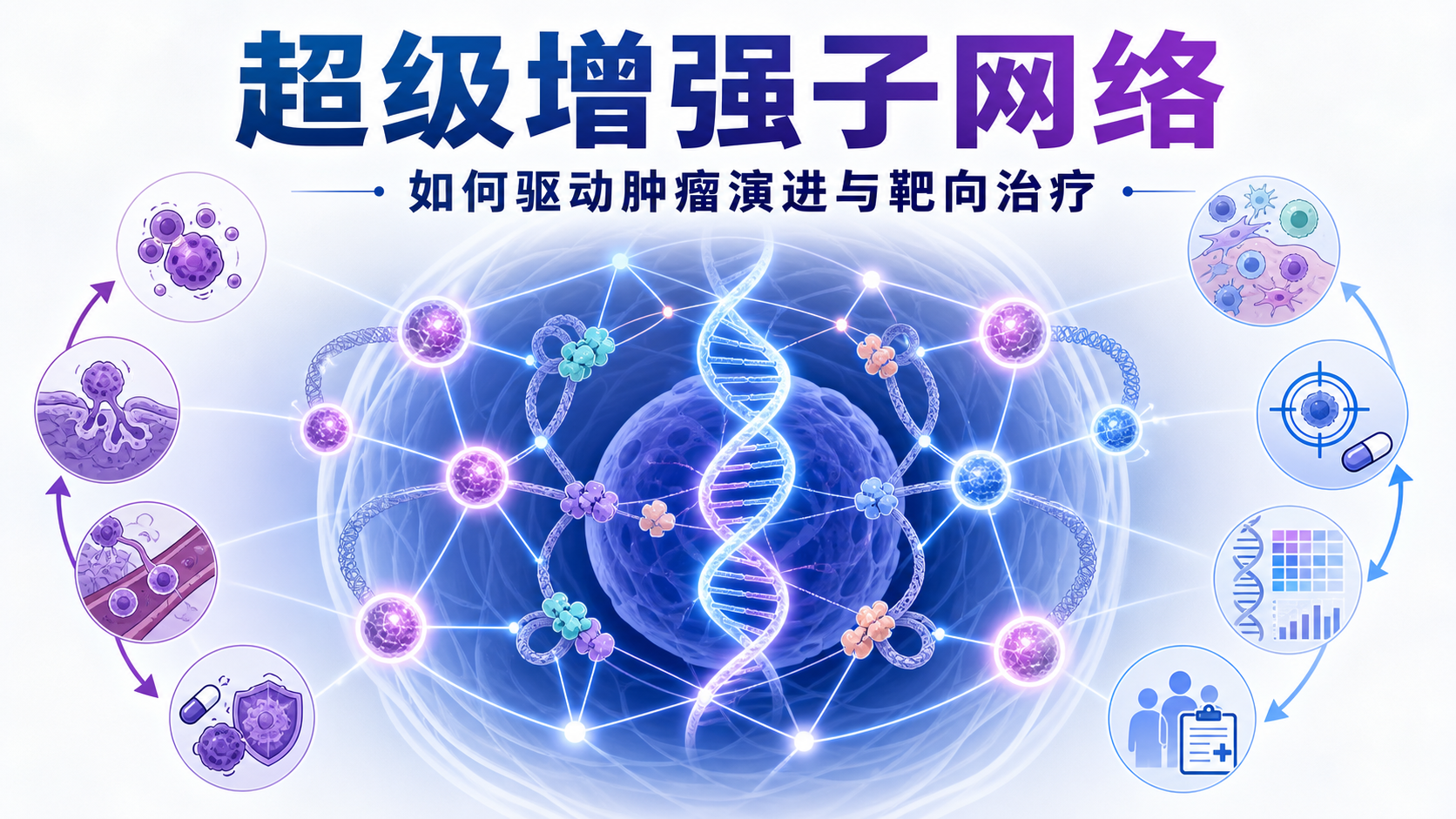 超级增强子网络驱动肿瘤演进：机制与靶向新策略