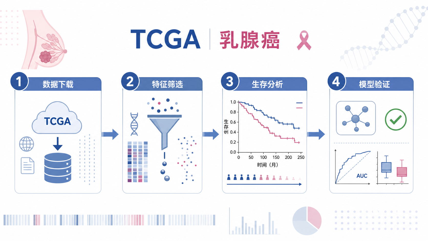 乳腺癌TCGA数据分析流程图,包含数据下载、特征筛选、生存分析、模型验证四个步骤