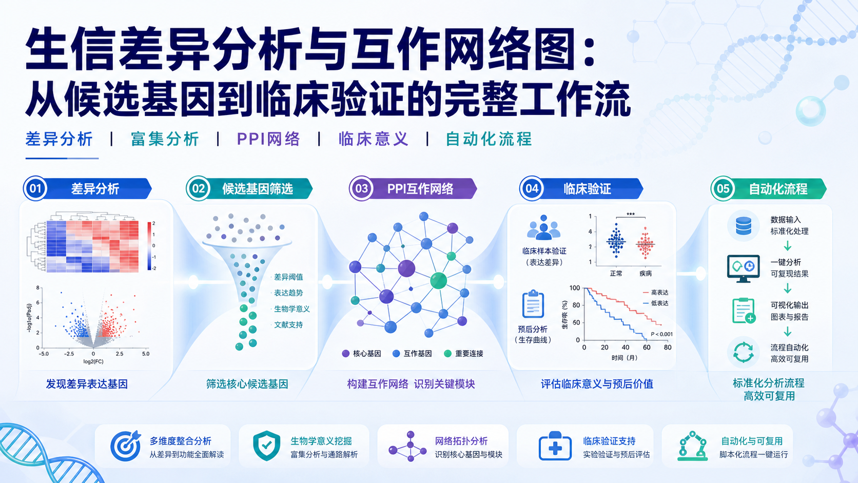 从差异分析到互作网络：生信发文的高级仙桃工作流