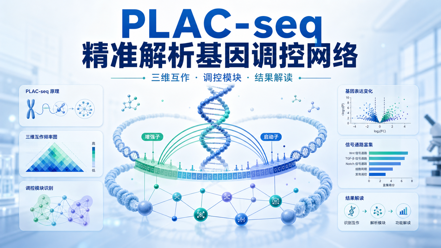 PLAC-seq近端互作测序：精准定位基因调控网络