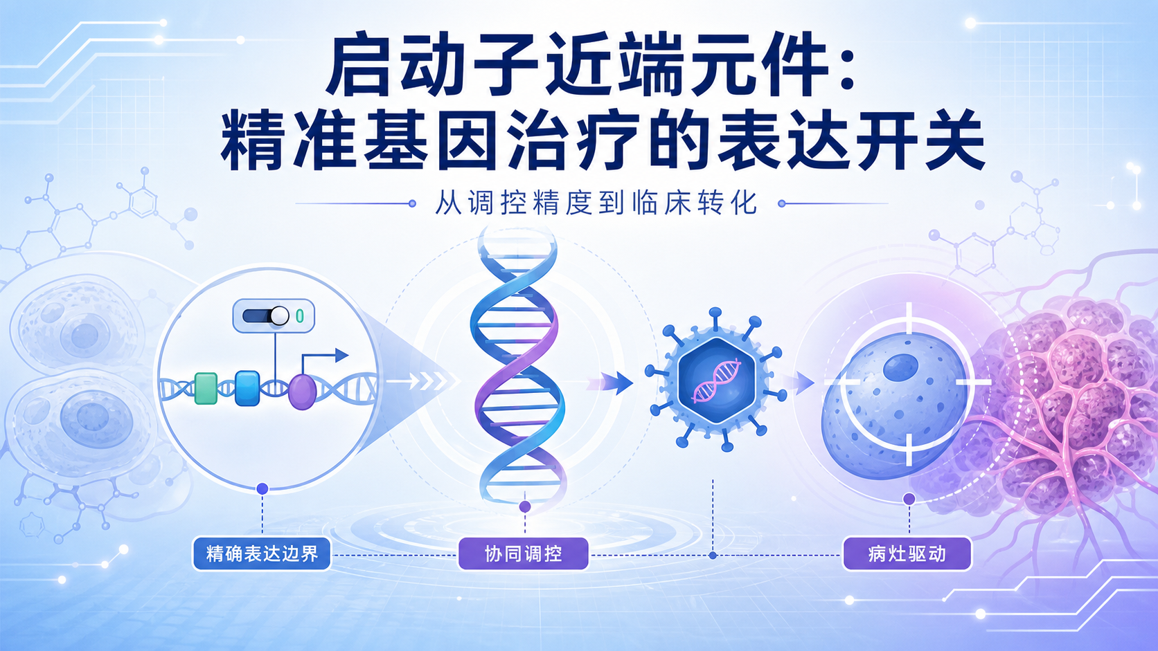 启动子近端元件：驱动精准基因治疗的临床潜力