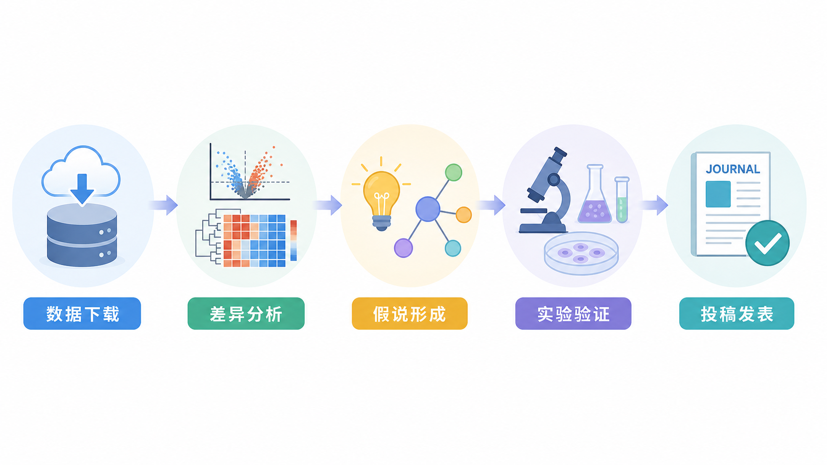 一张科研流程示意图,展示“数据下载, 差异分析, 假说形成, 实验验证, 投稿发表”的递进链条,风格简洁专业。