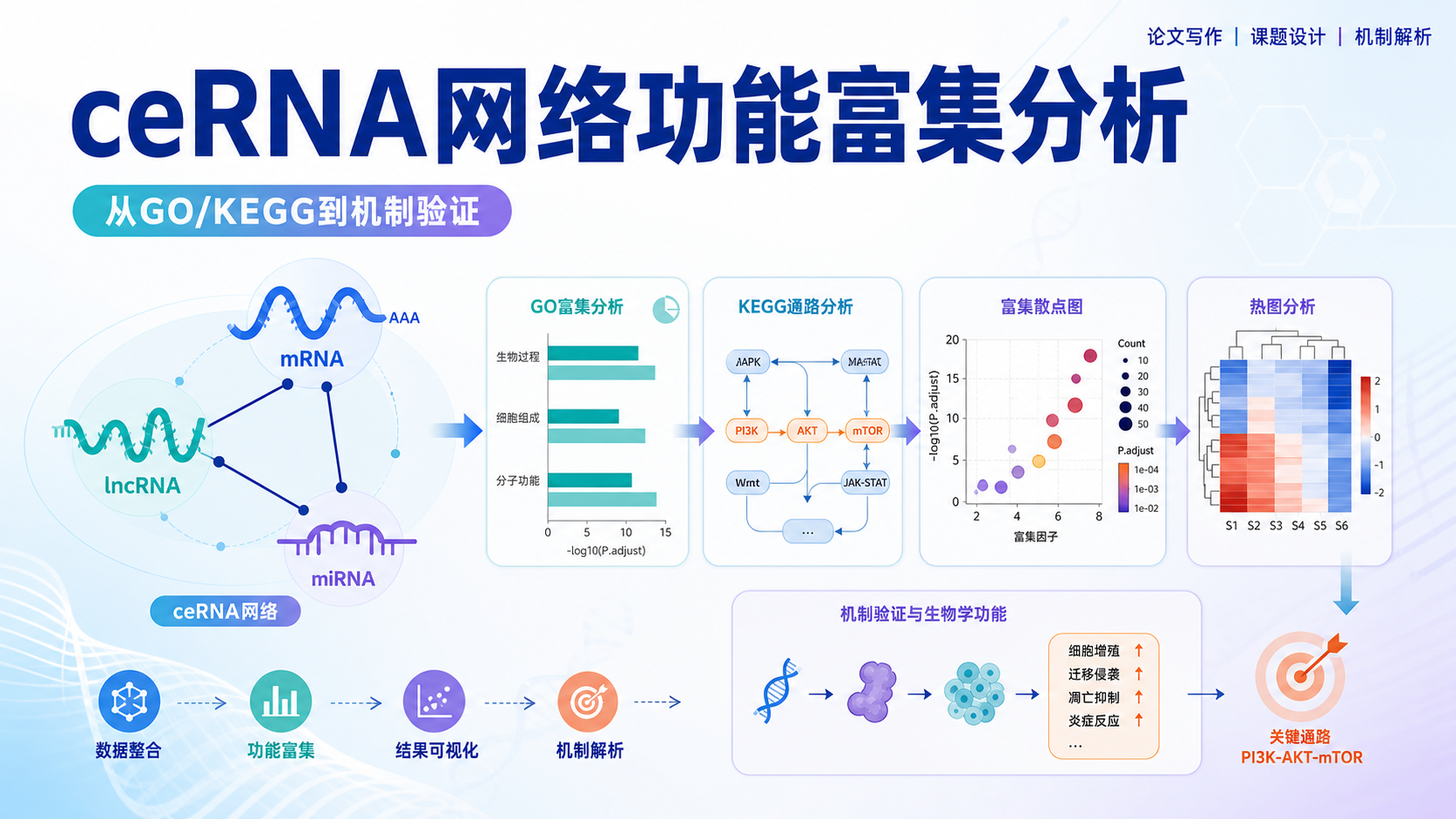ceRNA网络联合功能富集分析：解码微小RNA竞争机制