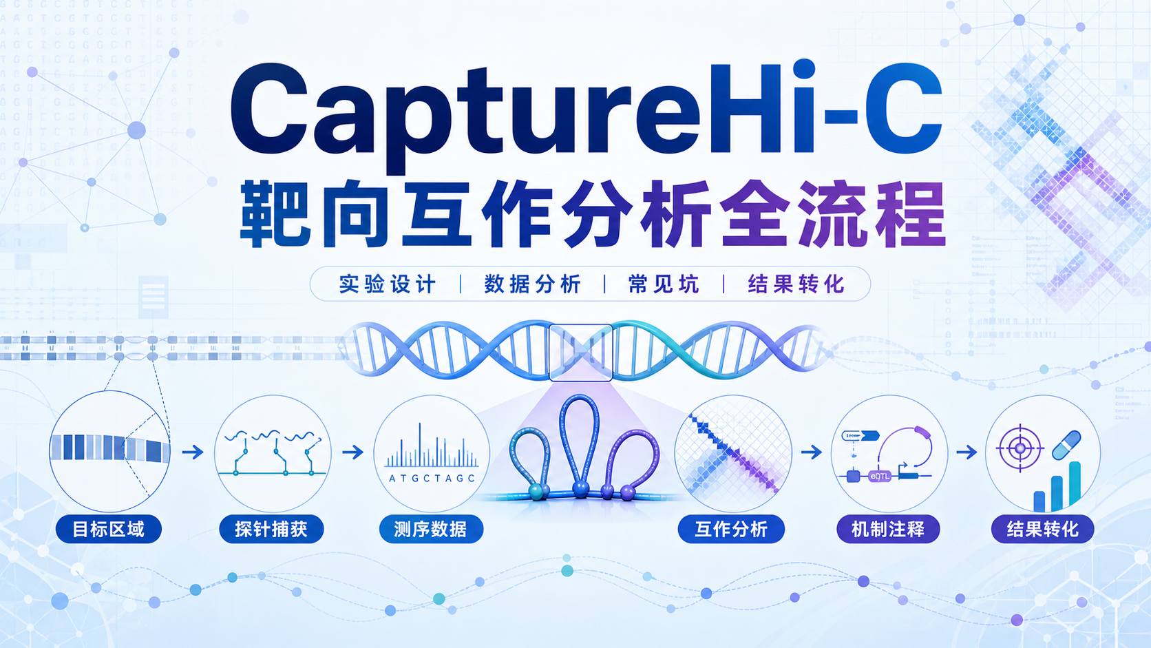 靶向互作分析新利器CaptureHi-C实操指南