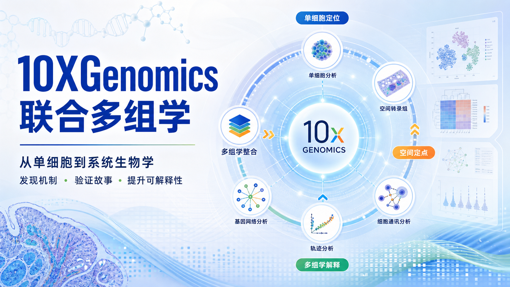 10XGenomics联合多组学:驱动生物医学研究范式变革