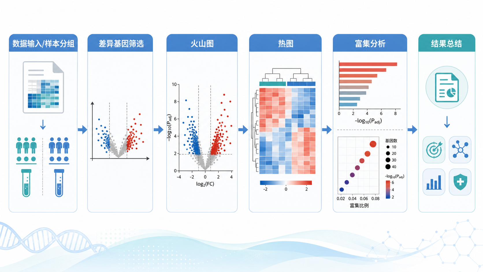 一张生信分析流程图，突出差异基因筛选、火山图、热图和后续富集分析之间的连锁关系，风格简洁专业。