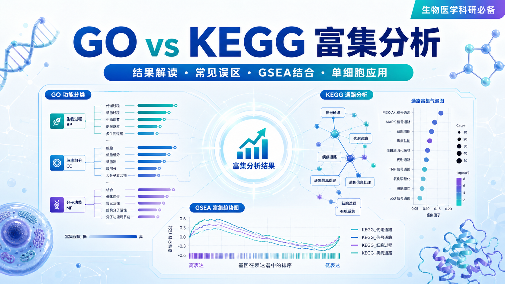 GO与KEGG富集分析：平行验证提高结果可靠性