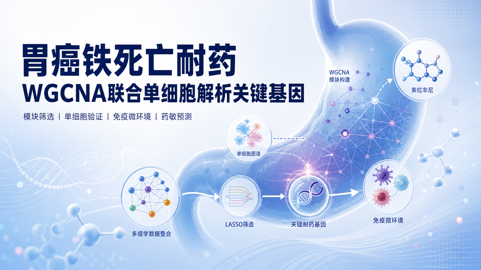 WGCNA联合单细胞分析鉴定胃癌铁死亡相关耐药模型