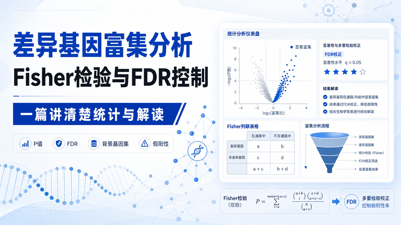从Fisher检验到FDR控制：揭秘差异基因富集分析核心逻辑