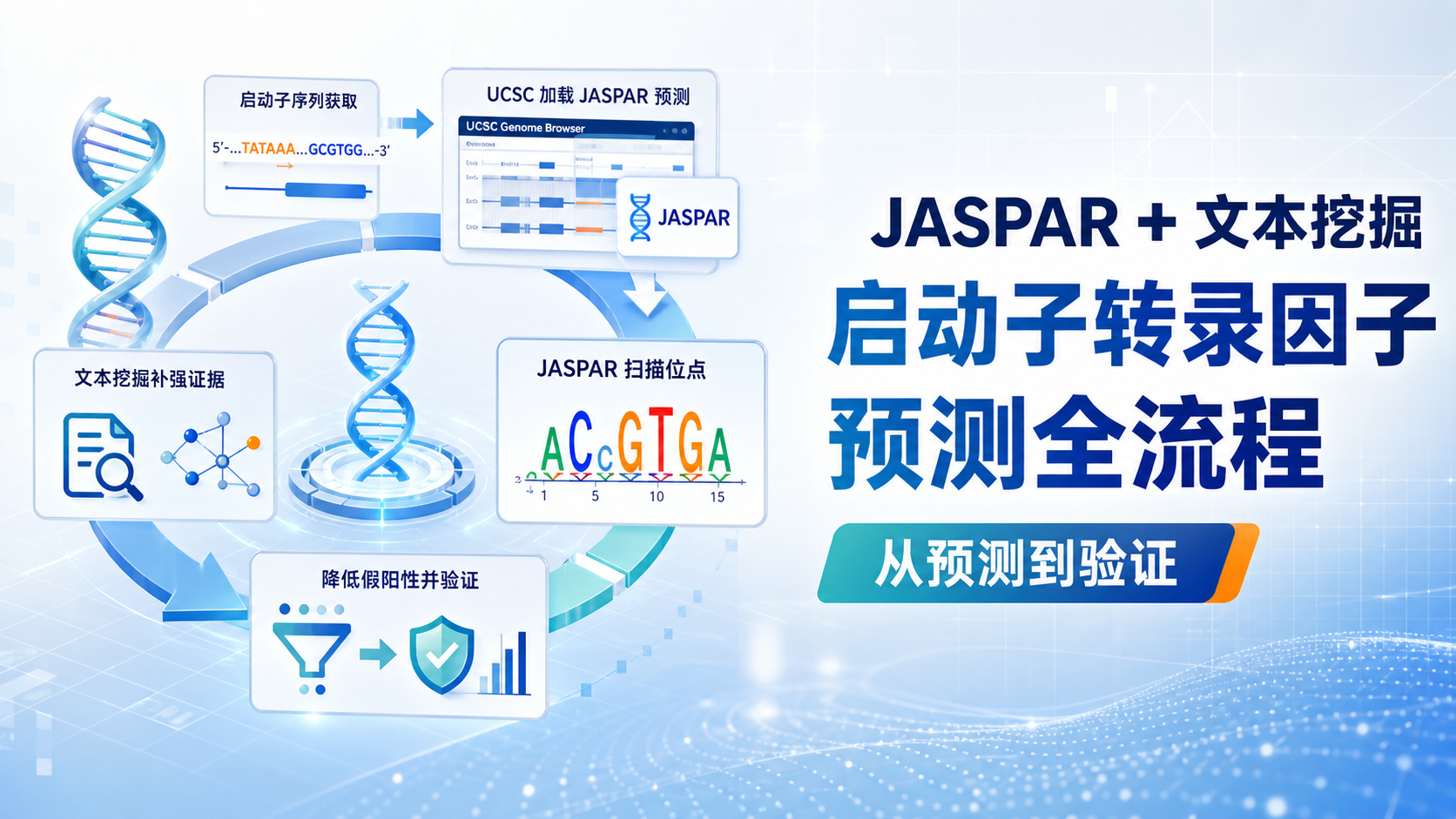 科学利用JASPAR与文本挖掘：基因转录调控预测实战