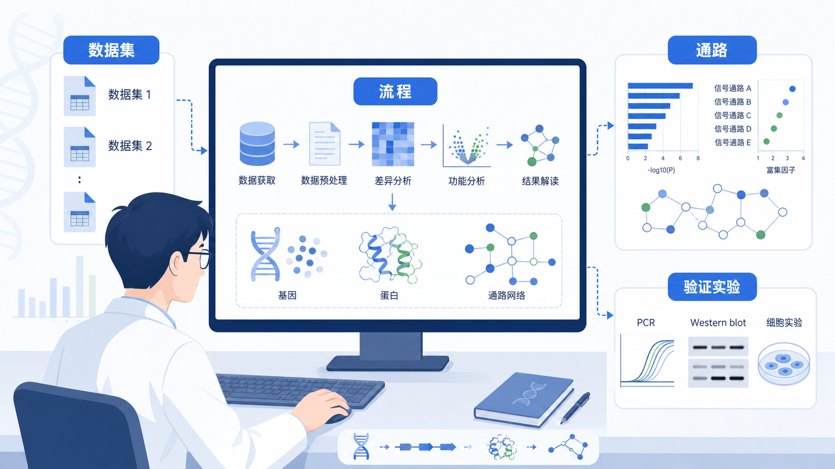 科研人员在电脑前梳理生信分析流程图,旁边是数据集、通路和验证实验的示意图