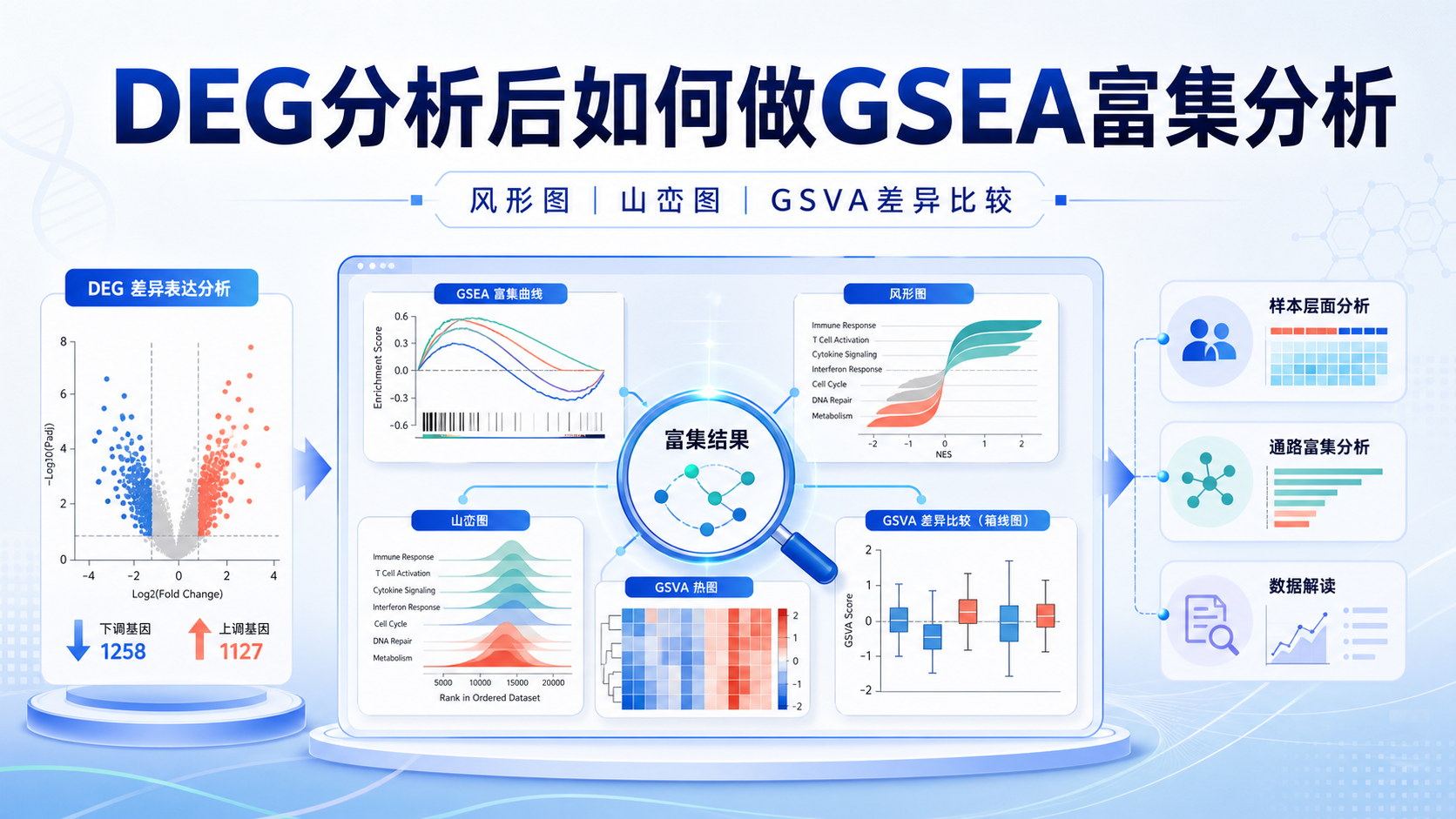三步搞定DEG分析:GSEA富集与风形图解读