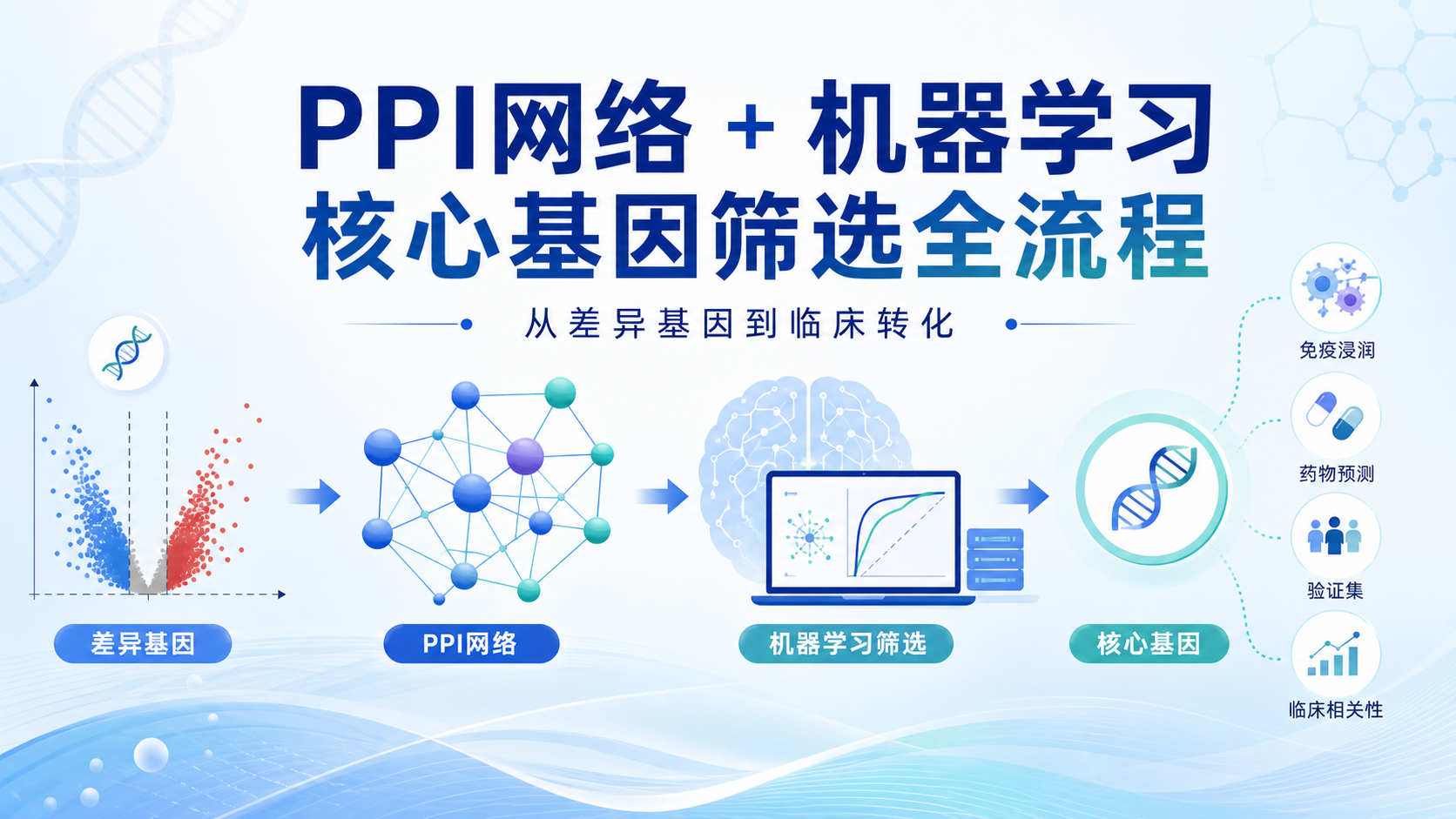结合机器学习的PPI网络核心基因鉴定新策略