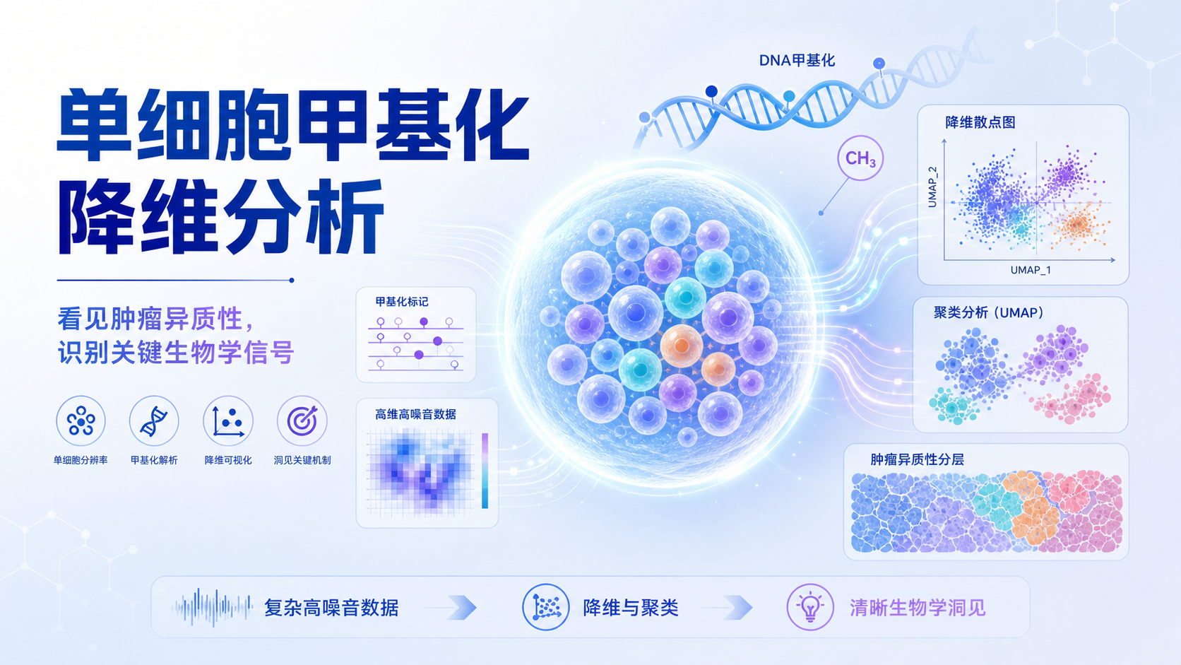 单细胞甲基化数据降维解析肿瘤异质性新视角